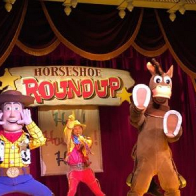 ホースシュー・ラウンドアップ