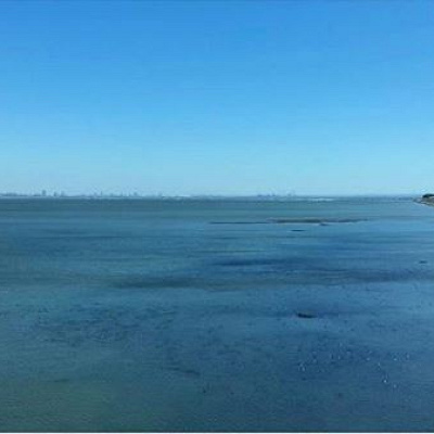 市川塩浜付近のホテル