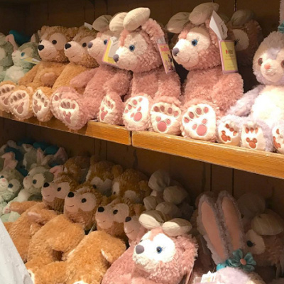 どの子をお迎えするかワクワクします♪