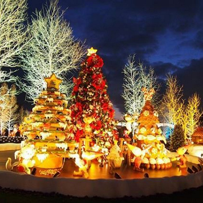 ディズニーはとっても寒い？！