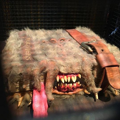 動くので動画撮影もおすすめ！