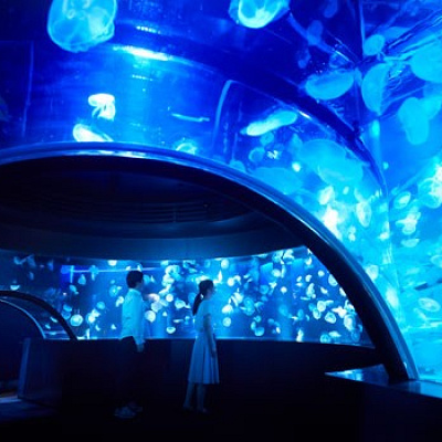 クラゲワンダー360度パノラマ水槽