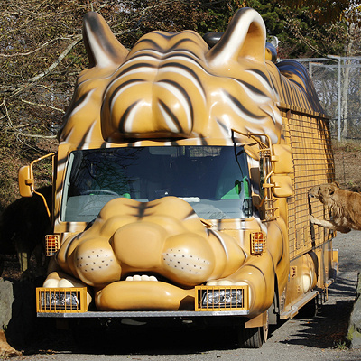 ジャングルバス