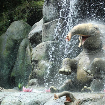 特殊な通路を使用することになるジャングルクルーズ