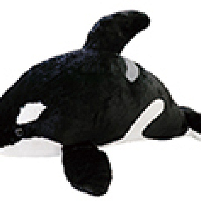 鴨川シーワールド　シャチぬいぐるみ