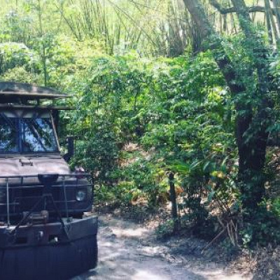 キリマンジャロ・サファリ