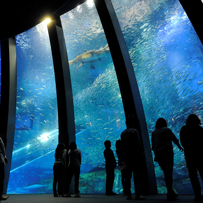 アクアミュージアムの大水槽
