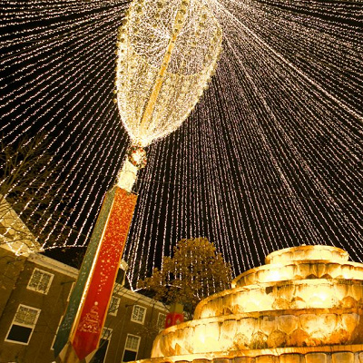 「光の天空ツリー」