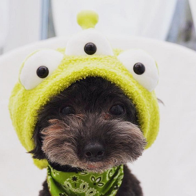 2015年から販売されたリトルグリーンメンのヘアバンド