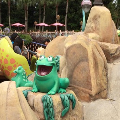 このカエルに注目です！