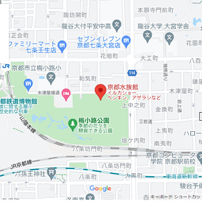 マップ