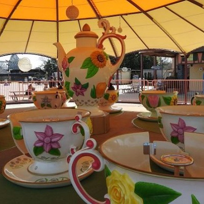 マーガレットさんのフラワーカップ