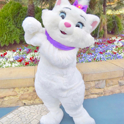 グリーティングでのマリー