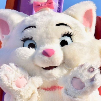 マリーのプロフィール