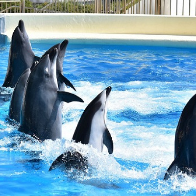 マリンワールド海の中道