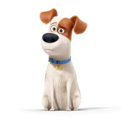 マックス／映画『ペット』