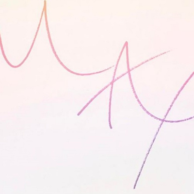 マックスのサイン