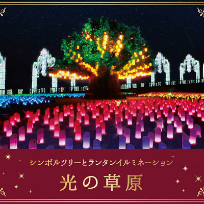 光の草原