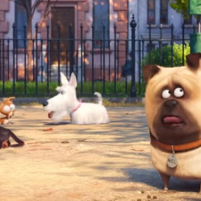 メル（右）／映画『ペット』