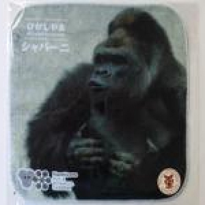 シャバーニのミニタオル・ドラミングバージョン