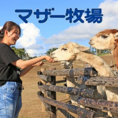 マザー牧場