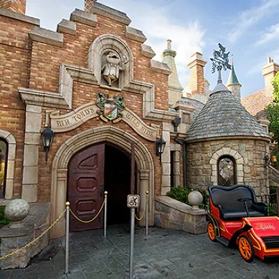 トード氏のワイルドライド