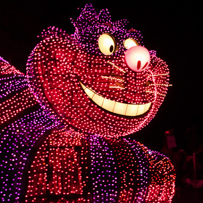 神出鬼没でニヤニヤ笑う不思議な猫