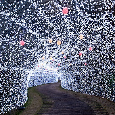 なばなの里イルミネーション2021-2022