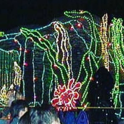 ナスティ・グロット