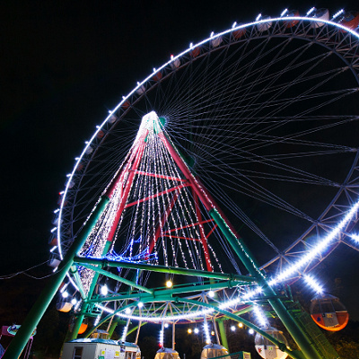 ナイトアトラクション