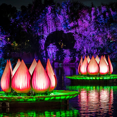 夜のショー「リバーズオブライト」キャラクターなどは登場しない