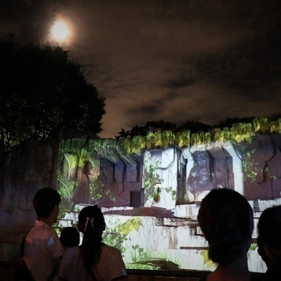 ナイトズーメインイルミネーション