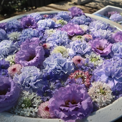 昼の花手水