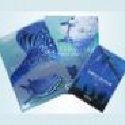 OEMクリアケースA4