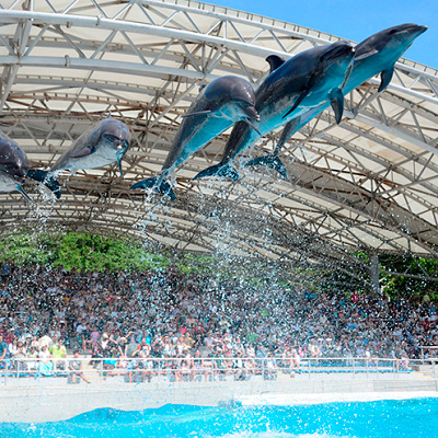 オキちゃん劇場