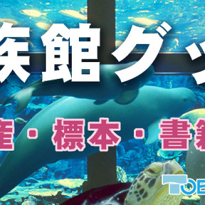 オンラインショップ案内