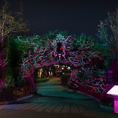 大人ハロウィーン・エリア ~呪われた薔薇園~