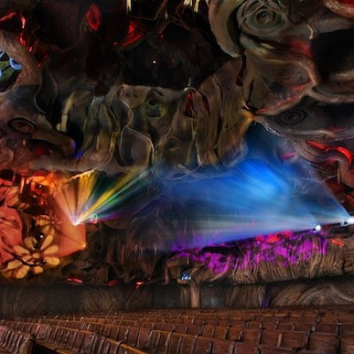 イッツ・タフ・トゥー・ビー・ア・バグ内の写真　虫のすみかのようになっています