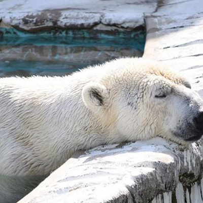体調管理が一番大事！