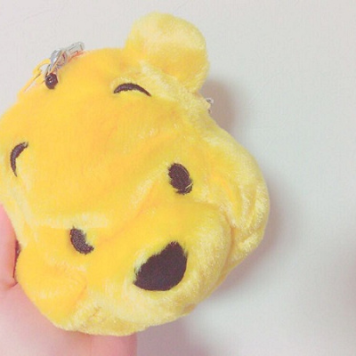 プーさんパスケース