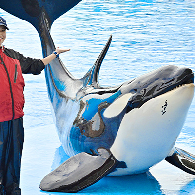 名古屋港水族館の公開トレーニング