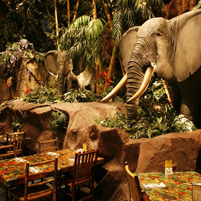 レインフォレスト・カフェ