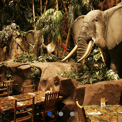 レインフォレストカフェ