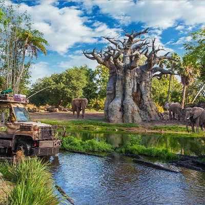 リアルなジャングルクルーズ