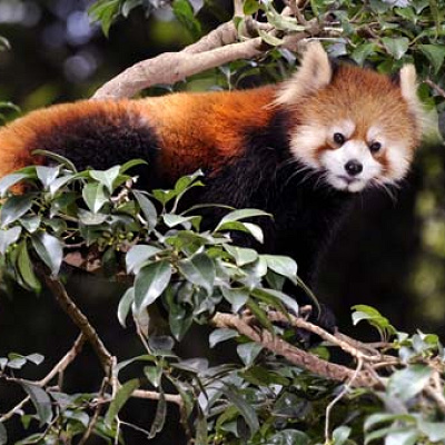 持ち込み・お弁当が食べられるおすすめエリア