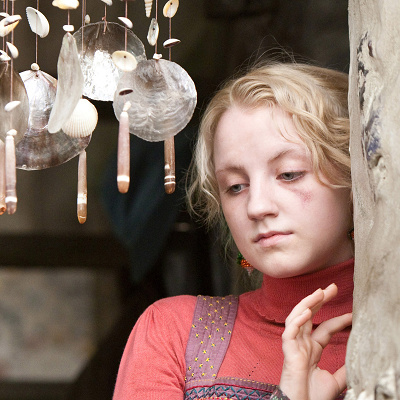 ファンタビとハリーポッターとの関係