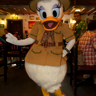 サファリ・デイジー