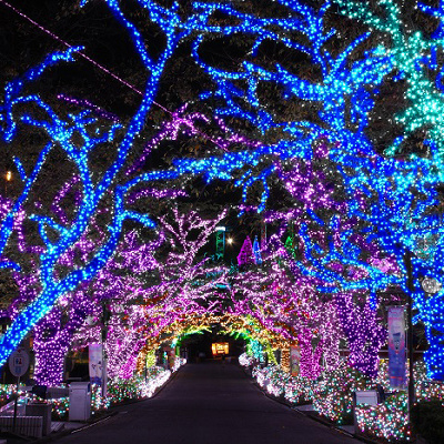 彩雲のプロムナード