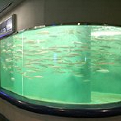 海のさかな水槽