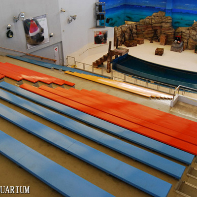 アシカショーのステージ